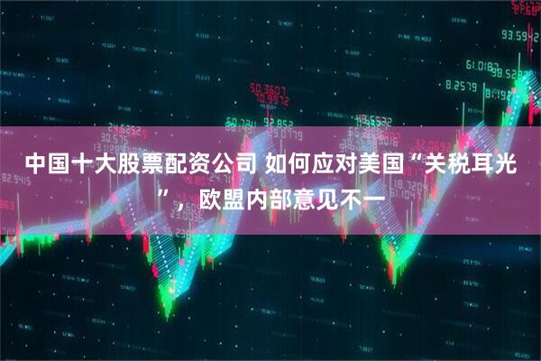 中国十大股票配资公司 如何应对美国“关税耳光”，欧盟内部意见不一